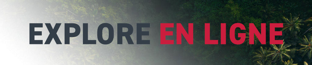 Formation Explore en ligne